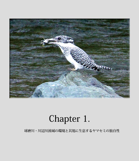 chapter_1.jpg